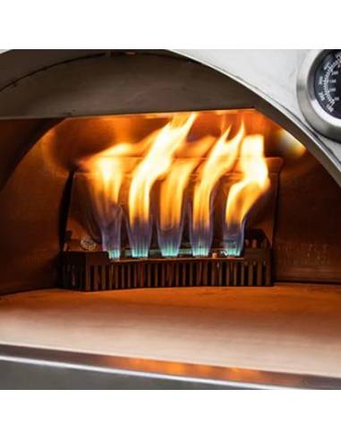 Horno Portátil mixto de Leña y Gas