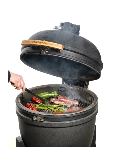 Imágen  Kamado Alecook cocinando carnes y verduras