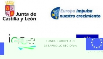 Expansión internacional PYMES en Castilla y León